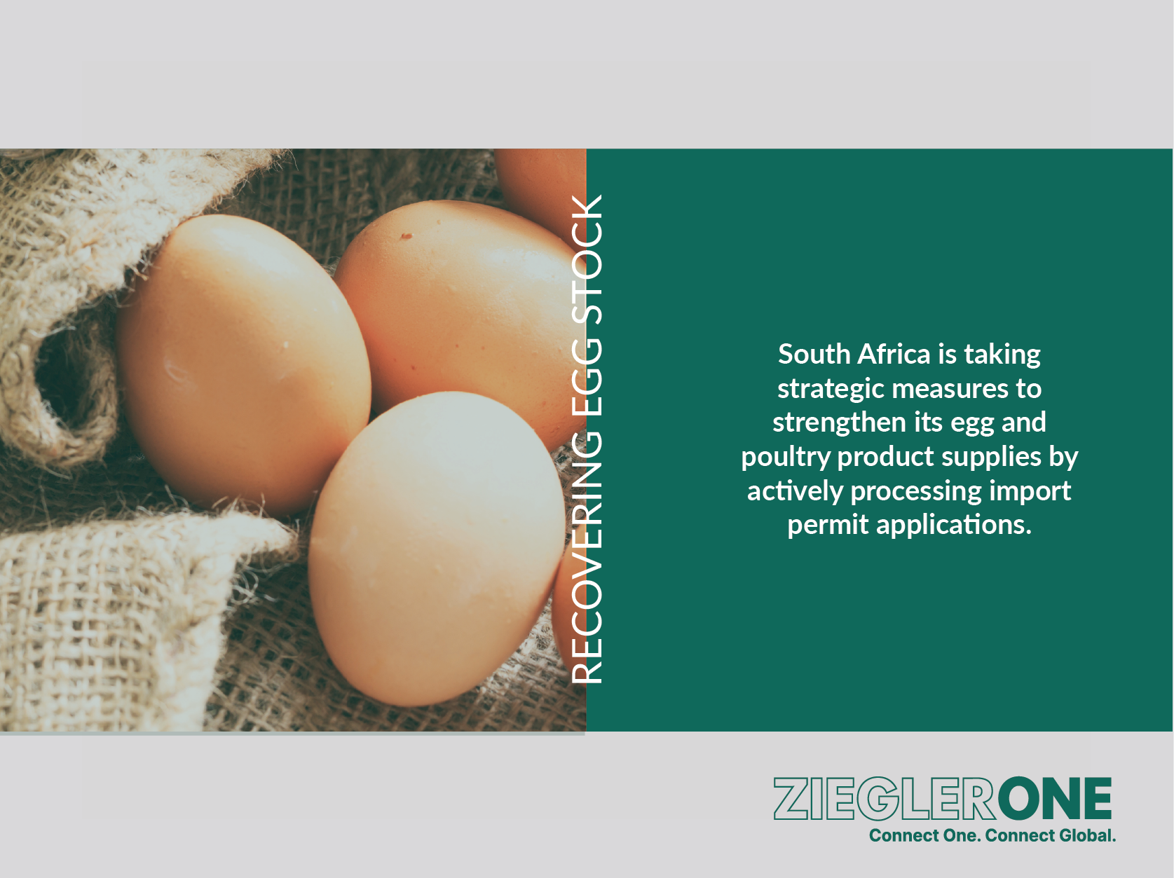 South Africa boosts egg and poultry imports