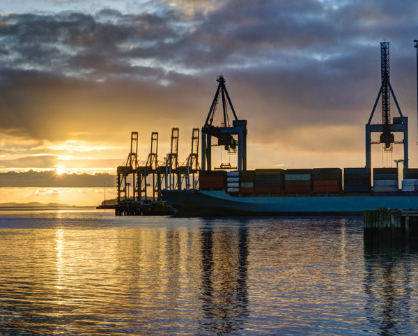 Auckland port scraps automation project